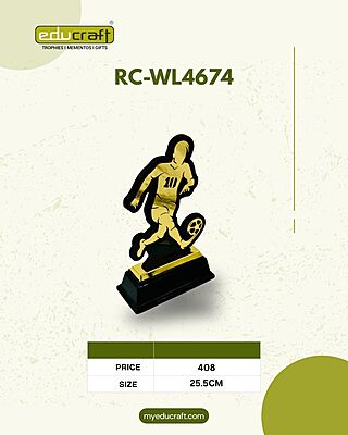 RC-WL4674 26.50CM