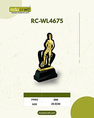 RC-WL4675 26.50CM