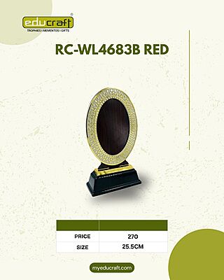 RC-WL4683B RED 29CM