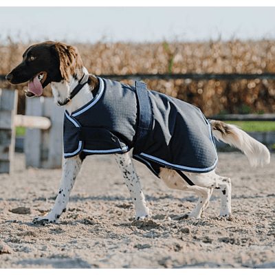 Equitheme Dog Blanket