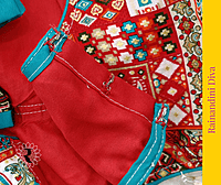Red Cotton Ajrakh Blouse Royal Neck Red Cotton Ajrakh Blouse Royal Neck