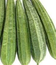 Ridge Gourd Ridge Gourd