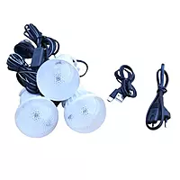 RL - 4890 HLS solar home lighting system