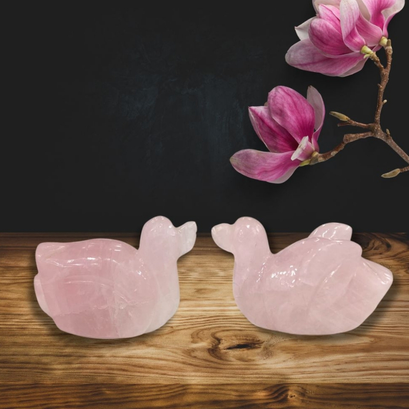 Rose Quartz Mandarin  Duck Pair