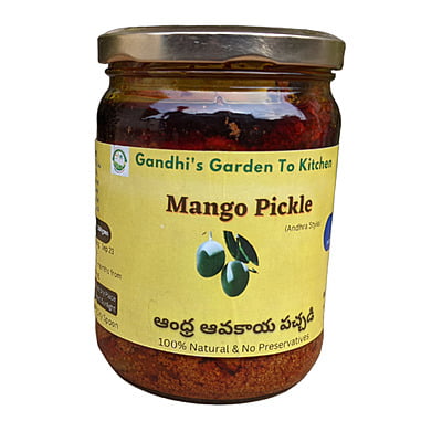 500gms Andhra Avakaya – Homemade - Authentic Andhra Mango Pickle 500gms Andhra Avakaya – Homemade - Authentic Andhra Mango Pickle