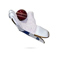 SF PLATINUM WK GLOVES SF PLATINUM WK GLOVES