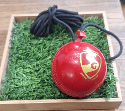 CRICKET BALL OMTEX CRICKET BALL OMTEX