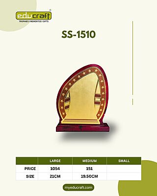 SS-1510L 21CM 12%