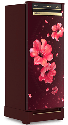 Whirlpool Vitamagic Pro 192L 3 Star Single-Door Refrigerator with Base Drawer Whirlpool Vitamagic Pro 192L 3 Star Single-Door Refrigerator with Base Drawer