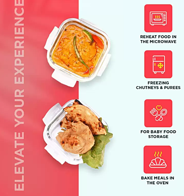 Olive ware Freshco Glass Lunch Box