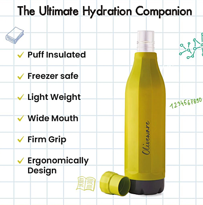 Olive Ware Freshy Insulated Bottle 700ML