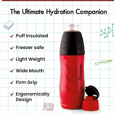 Olive Ware Eagle  Insulated Bottle 650ML