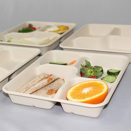 Sugar Cane Meals Tray (CP)