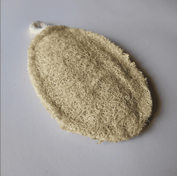 Loofah Oval