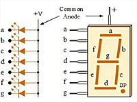 7 Segment Led Display (Common Anode) 7 Segment Led Display (Common Anode)
