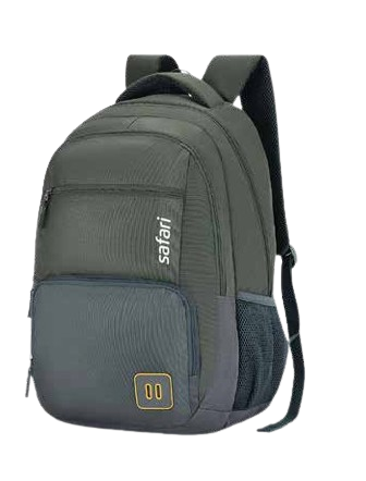 Sky bags Savvie Laptop backpack