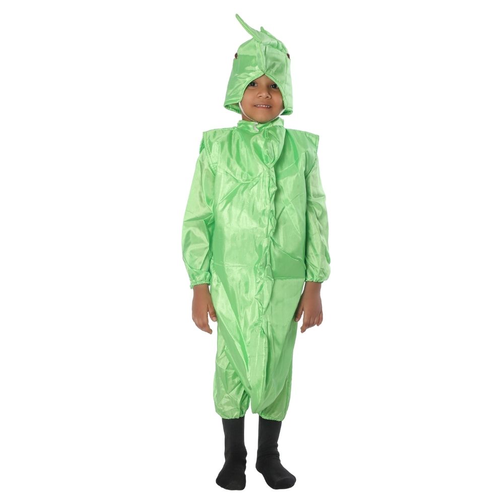 Seahorse Fancy Dress Costume Seahorse Fancy Dress Costume
