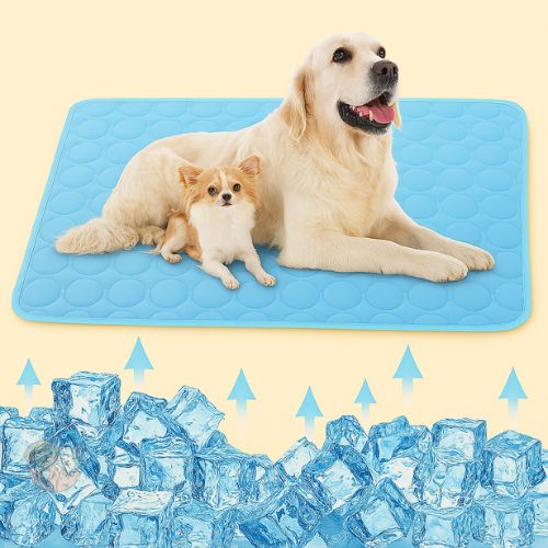 Self-Cooling Pet Mat โ Summer Relief Pad for Dogs & Cats Self-Cooling Pet Mat โ Summer Relief Pad for Dogs & Cats
