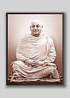 Swami Divyananda