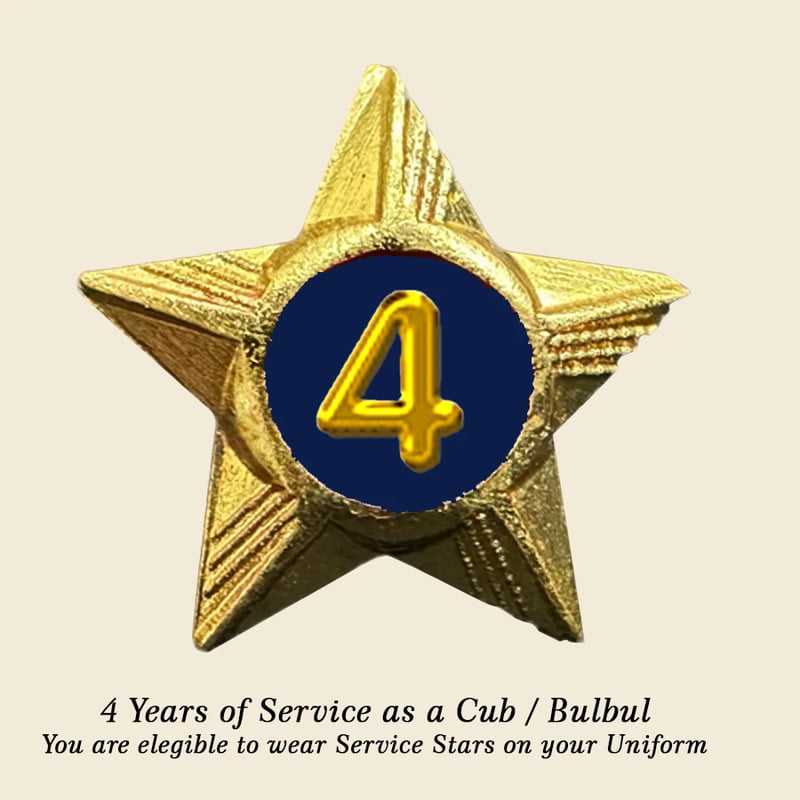 Cubs / Bulbul Service Stars Pins - 4 Year