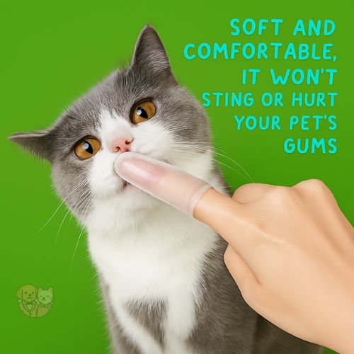 Silicone Finger Toothbrush for Pets โ Gentle Dental Care for Dogs & Cats Silicone Finger Toothbrush for Pets โ Gentle Dental Care for Dogs & Cats