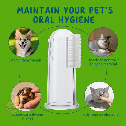 Silicone Finger Toothbrush for Pets โ Gentle Dental Care for Dogs & Cats Silicone Finger Toothbrush for Pets โ Gentle Dental Care for Dogs & Cats