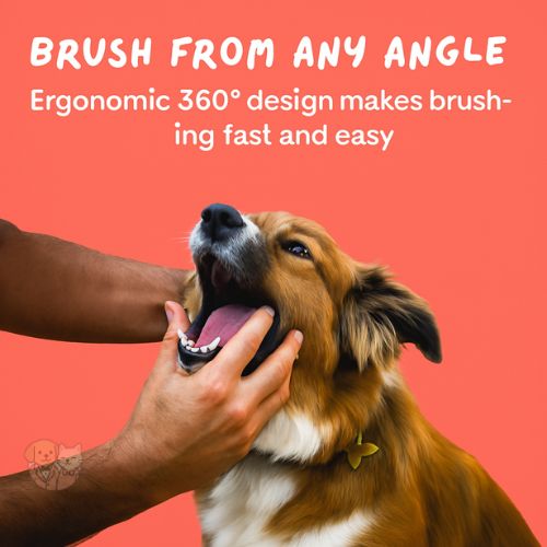 Silicone Finger Toothbrush for Pets โ Gentle Dental Care for Dogs & Cats Silicone Finger Toothbrush for Pets โ Gentle Dental Care for Dogs & Cats