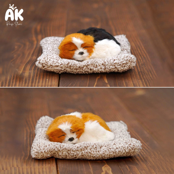 Sleeping Dog