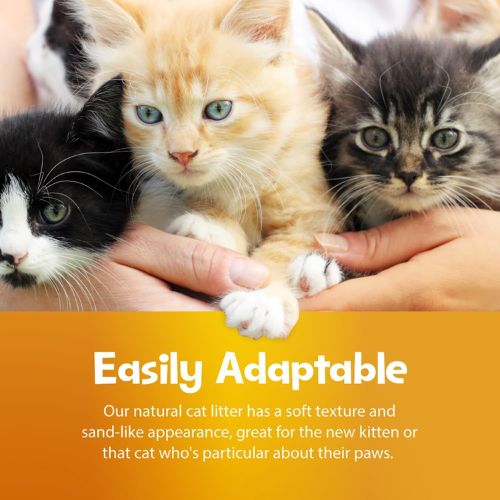 Smart Cat Clumping Cat Litter โ 5 Kg, Odor Control & Easy Clean Smart Cat Clumping Cat Litter โ 5 Kg, Odor Control & Easy Clean