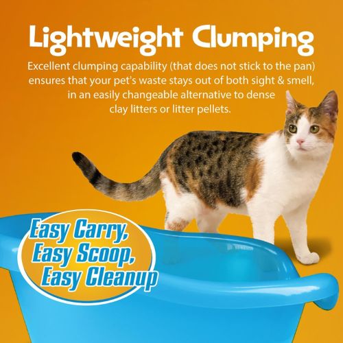 Smart Cat Clumping Cat Litter โ 5 Kg, Odor Control & Easy Clean Smart Cat Clumping Cat Litter โ 5 Kg, Odor Control & Easy Clean