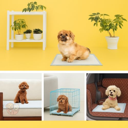 Smarty Pet Training Pads – Leak-Proof, Fresh Scented Pads for Dogs & Puppies (50 pcs, 45×60 cm) Smarty Pet Training Pads – Leak-Proof, Fresh Scented Pads for Dogs & Puppies (50 pcs, 45×60 cm)
