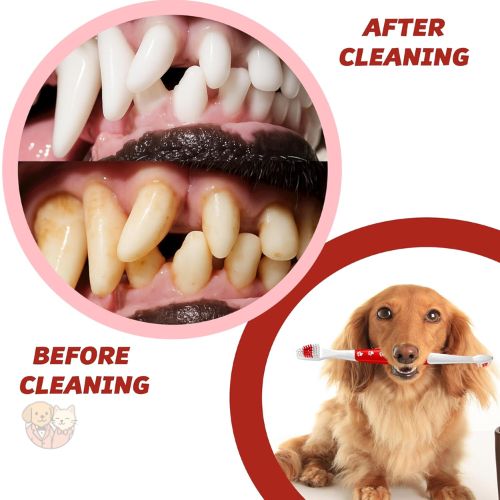 Soft Bristle Toothbrush for Pets โ Gentle Oral Care for Dogs & Cats Soft Bristle Toothbrush for Pets โ Gentle Oral Care for Dogs & Cats