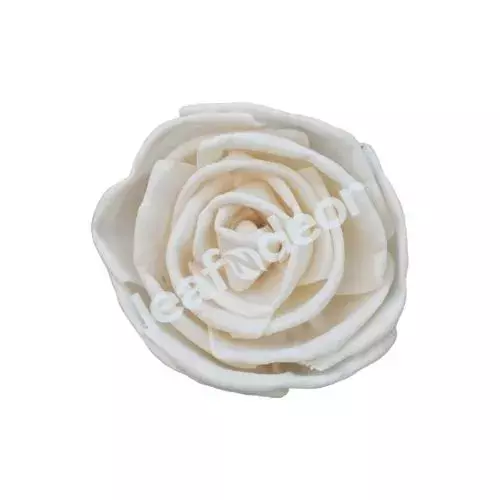 Sola Bird Rose