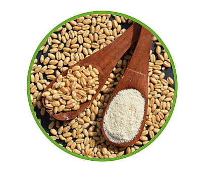 Sona Moti Wheat Flour-1 KG