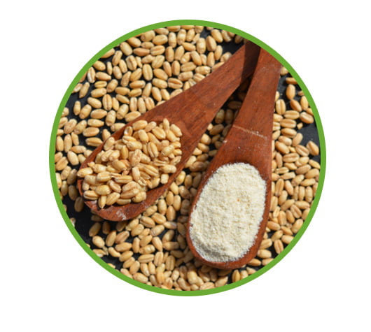 Sona Moti Wheat Flour-1 KG Sona Moti Wheat Flour-1 KG