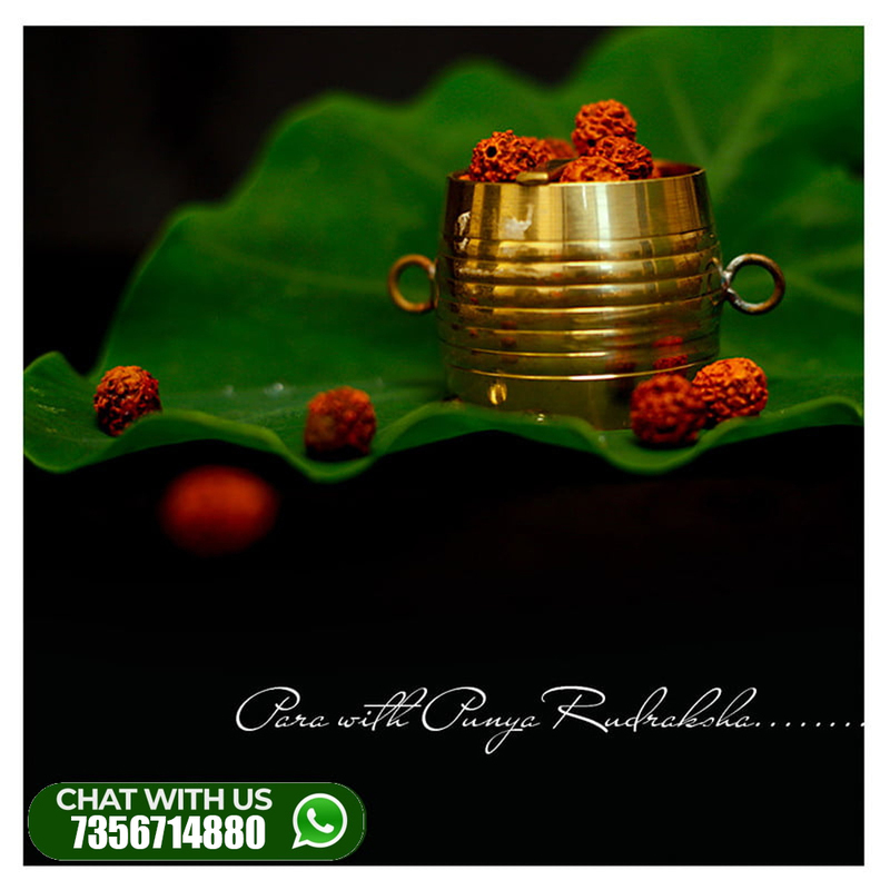 Special Para-with-Punya-Rudraksha Special Para-with-Punya-Rudraksha