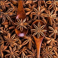 Star Anise Star Anise