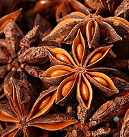 Staranise चक्र फूल