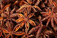 Staranise चक्र फूल