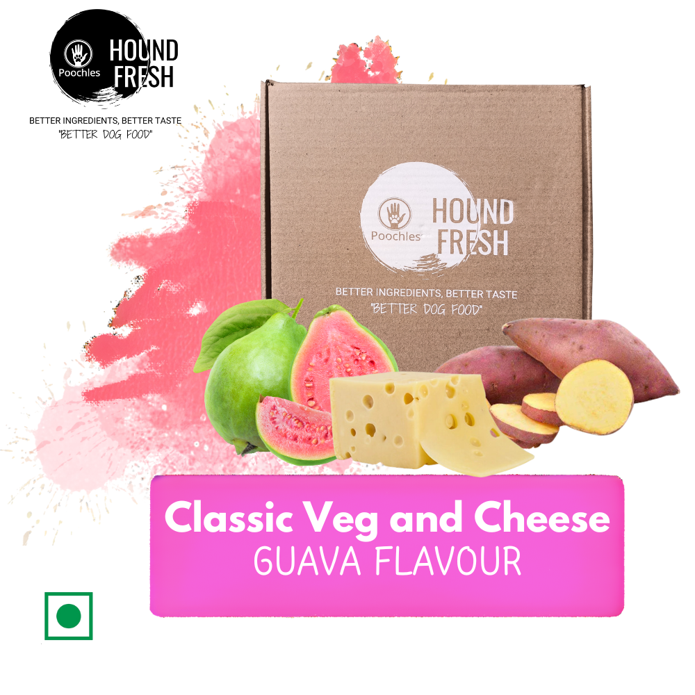 Hound Fresh Sweet Potato and Cheese Dog Pure Veg Fresh Food, Guava Flavored Hound Fresh Sweet Potato and Cheese Dog Pure Veg Fresh Food, Guava Flavored