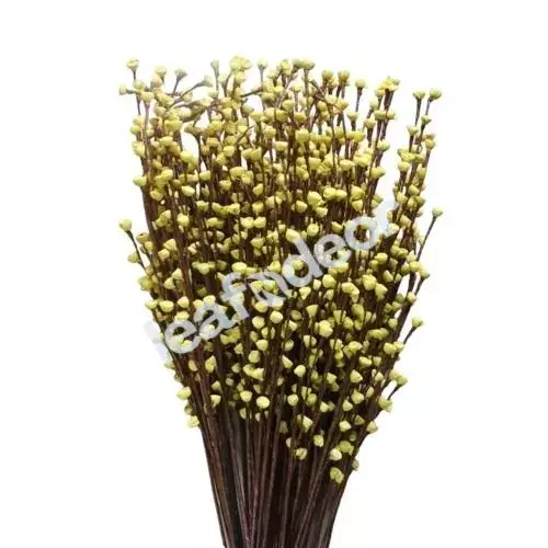 Sweet Rose Buds Stick