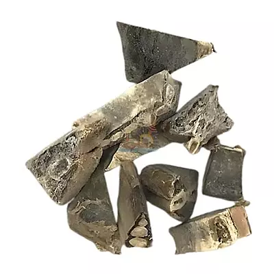 Mangalore Special Dried Fish Thorake | Stringray Fish | Thirandi Mangalore Special Dried Fish Thorake | Stringray Fish | Thirandi