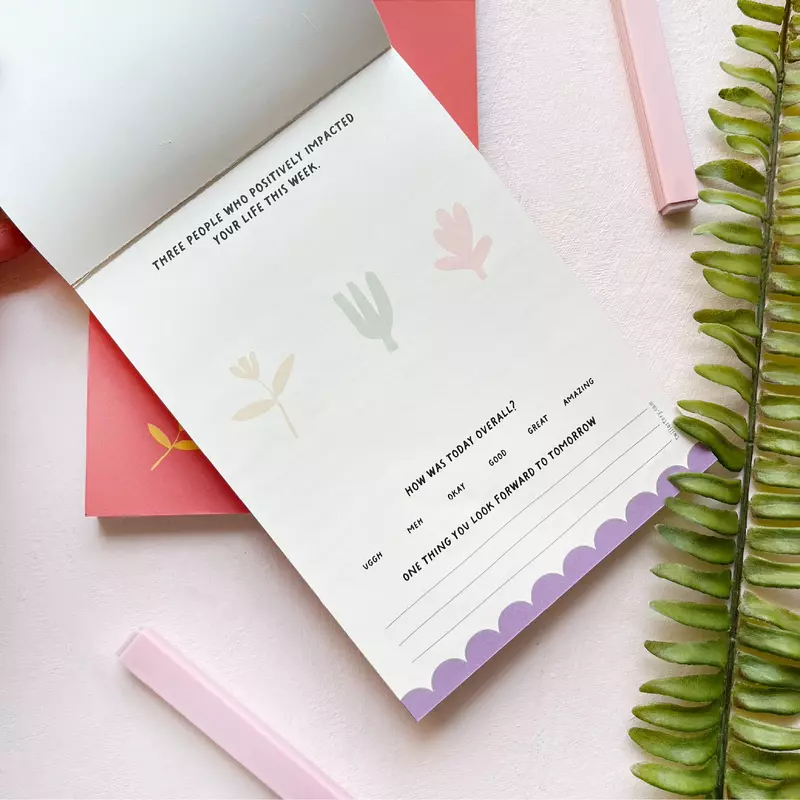 Three Good Things - Mini Gratitude Journal