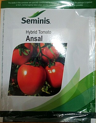 Tomato Ansal - Seminis (3500 Seeds)