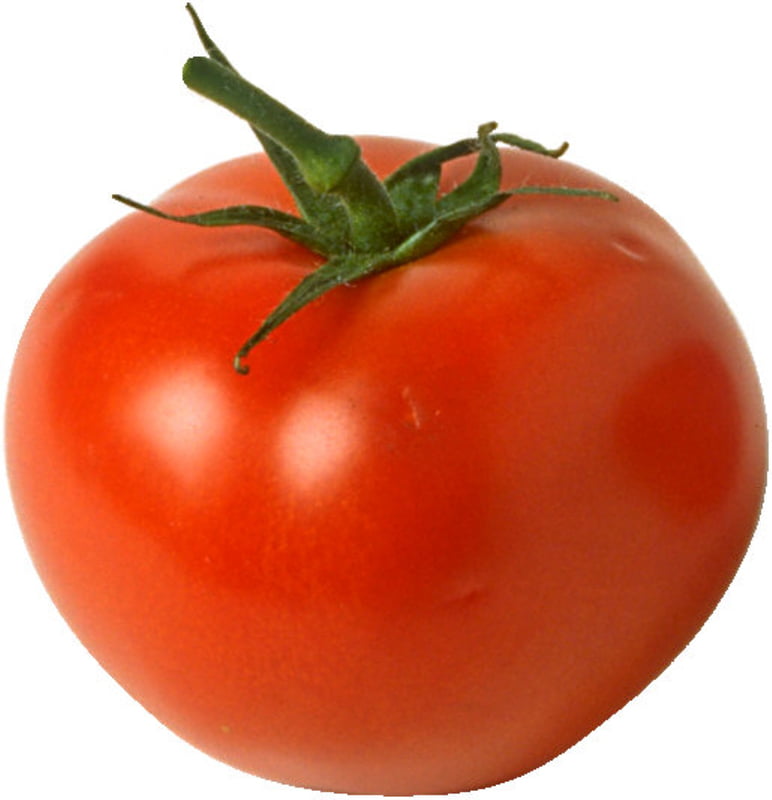 Tomato Tomato