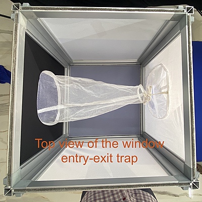 window entry and exit trap for the study of endophilic behavior of mosquitoes window entry and exit trap for the study of endophilic behavior of mosquitoes