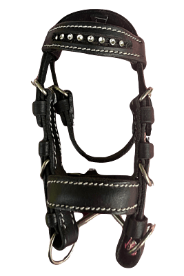Toy Bridle Toy Bridle