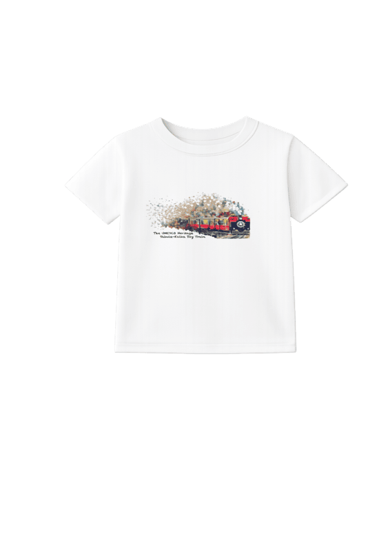 T-shirt- Solo Train