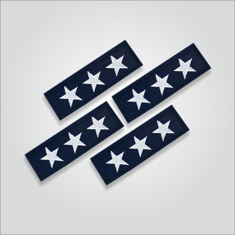 Charan Badges Tritiya