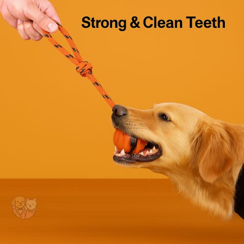 Tug Ball on Solid Rope โ Durable Play Toy for Small & Medium Dogs Tug Ball on Solid Rope โ Durable Play Toy for Small & Medium Dogs